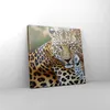 Bild auf Leinwand - Leinwandbild - Leopardpanther Katze Produktbild-Vorschau 4