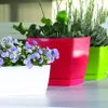 COUBI DUKP210 Blumentopf mit Untersetzer | Weiß Produktbild-Vorschau 5