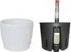 Set3 Blumentopf Venus weiß 11/09 Ø 14cm Höhe 10cm+KT+WA Produktbild-Vorschau 1
