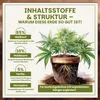 Green Home Grow-Erde 72 Liter | All Mix Erde für Wachstum & Produktbild-Vorschau 3