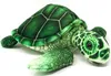 Cornelissen - Doudou - Tortue de mer verte - 25 cm Voir les images du produit 1