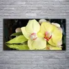 Tulup Leinwand-Bilder 120x60 Wandbild Canvas Kunstdruck Produktbild-Vorschau 2