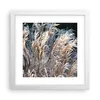 Gerahmtes Poster - Weißer Rahmen - Stock Ähren Boho - 30x30 Produktbild-Vorschau 1