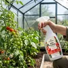 Kalinova | Tomatendünger Spray - 750 Ml - Calcium - Zink - Produktbild-Vorschau 7