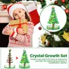 2X Albero di Natale di cristallo magico in crescita, mini Anteprima dell’immagine prodotto 4