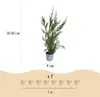 Green boutiQ - 40x Cupressocyparis leylandii 2011 - Produktbild-Vorschau 3