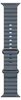 Apple Natural Titanium Finish Band Blu Fluoroelastomero, Anteprima dell’immagine prodotto 1