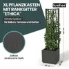 Kreher® Gartenspalier 'Ethica' mit Pflanzkübel Schmal Produktbild-Vorschau 2