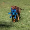 Gioco per cani Stitch Blue 13 x 7 x 23 cm Anteprima dell’immagine prodotto 9