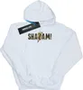 DC Comics - Kapuzenpullover für Herren BI17417 (S) (Weiß) Produktbild-Vorschau 1