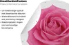 MuchoWow® Produktbild-Vorschau 4