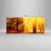 Bilder auf glas - Wald Baum Natur - 120x50cm - Glasbilder - Produktbild-Vorschau 3