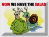 vianmo Blechschild 30x40 cm Now we have the salad Schnecken Produktbild-Vorschau 1