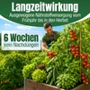 DÜNGEMEISTER Premium Gartendünger gegen mickrige Ernte & Produktbild-Vorschau 8