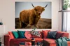 MuchoWow® Poster Schottischer Highlander - Düne - Gras Produktbild-Vorschau 2
