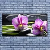 Glasbilder 140x70 Wandbild Druck auf Glas Blumen Steine Produktbild-Vorschau 2