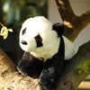 Plüsch-Panda, 23 cm, umweltfreundlich, weich Produktbild-Vorschau 10