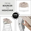 hauck 2in1 Babywippe & Neugeborenenaufsatz für Alpha+ & Produktbild-Vorschau 9