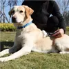 PURLOV 20427 Trimmkamm für Hunde und Katzen Produktbild-Vorschau 2