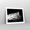 Poster - Poster ohne Rahmen - Weiß Tiger Schwarz und Weiß - Produktbild-Vorschau 7