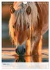 Stolze Haflinger Pferde (Wandkalender 2027 DIN A4 hoch), Produktbild-Vorschau 14