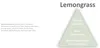 OLORI Raumduft Diffuser mit Stäbchen 100ml (Lemongras) Produktbild-Vorschau 2
