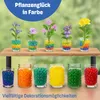 Bojani Deko Gelballs 60.000 Stück buntes Set Wasserperlen Produktbild-Vorschau 4
