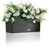 A rectangular planter filled with white flowers and green foliage, set against a white background. Produktbild-Vorschau