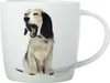 Hrnek BEST FURRY FRIENDS 400 ml, Yawn, porcelán, v dárkovém Náhled obrázku produktu 1
