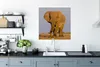 MuchoWow® Poster Afrikanischer Elefant im Sand 75x75 cm - Produktbild-Vorschau 3
