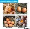 HÜHNOX Hölzerne Hühnereier Handwerk Rohlinge für Ostern Produktbild-Vorschau 3