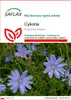 SAFLAX - Cykoria - 250 Nasiona - Cichorium intybus Podgląd zdjęcia produktu 1