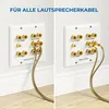deleyCON Multimedia Lautsprecher Wanddose 5.1 Surround Produktbild-Vorschau 3
