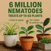 SF Nematoden 10 Mio gegen Trauermücken Thripse Wollläuse Produktbild-Vorschau 3