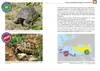 Winterstarre bei Europäischen Landschildkröten Produktbild-Vorschau 4