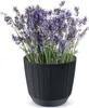 Květináč 16,8cm RYFO DRF170-S433 antracit plastový Náhled obrázku produktu 10