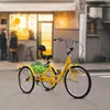Triciclo per adulti Zita 24" - Trike a 7 velocità per Anteprima dell’immagine prodotto 2