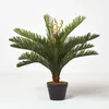 HOMESCAPES Umělá rostlina Zelená 'Palm Ferns' Cycadales Náhled obrázku produktu 5