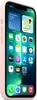 Apple Silikon Case MagSafe für iPhone 13 Pro Kalkrosa Cases Produktbild-Vorschau 5