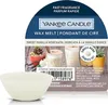 Yankee Candle Sweet Vanilla Horchata 22 g Anteprima dell’immagine prodotto 1