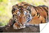 MuchoWow® Poster Tiger - Welpe - Rüssel 180x120 cm - Produktbild-Vorschau 2