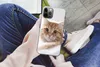 MuchoWow® Handyhülle Schutzhülle Hülle für iPhone 12 Pro Produktbild-Vorschau 3