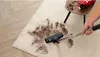 A vacuum cleaner head is shown cleaning up a spill on a beige rug. Produktbild-Vorschau