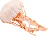 Safari animal de jeu méduse 12,75 cm rose Voir les images du produit 3