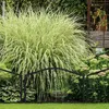 Relaxdays Beetzaun, 4-teilige Beetumrandung für Garten, Produktbild-Vorschau 2