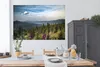 MuchoWow® Poster Übersicht über die Bäume im Nationalpark Produktbild-Vorschau 3