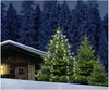 F-H-S Baumvorhang 300LED 12x25LED 2,5m außen mit Timer Produktbild-Vorschau 10