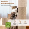 A cat scratching a sisal post with marketing text and icons. Náhled obrázku produktu