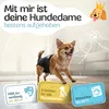 HUND IST KÖNIG Windeln für Hündinnen [3 Stk], XS (21 bis 29 Produktbild-Vorschau 2