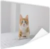 MuchoWow® Poster Kätzchen - Blau - Orange - Mädchen - Produktbild-Vorschau 1
